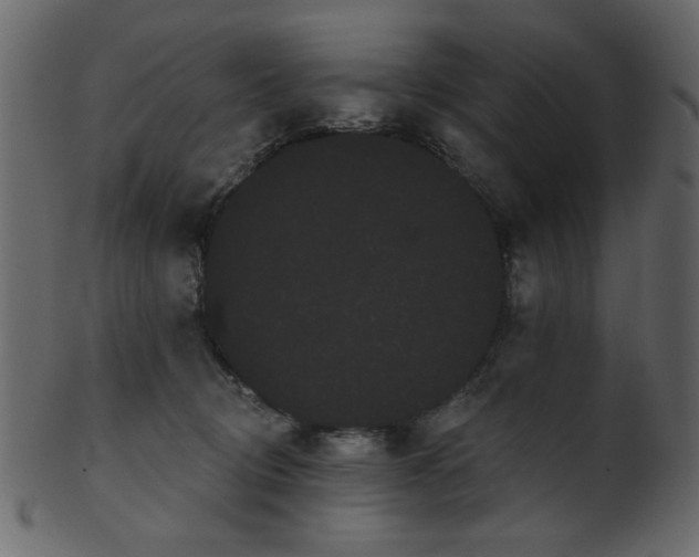 X0000101980370200807181130