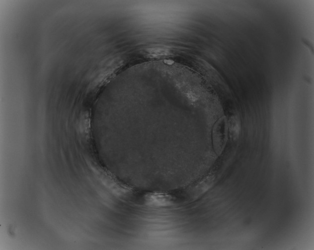 X0000101980372200807181130