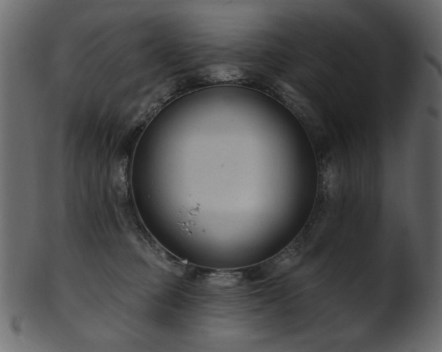 X0000101980373200807181130