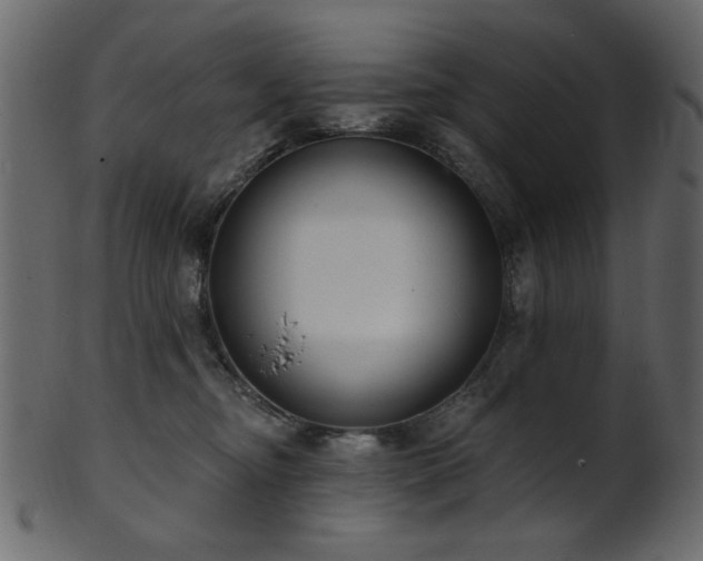 X0000101980374200807181130