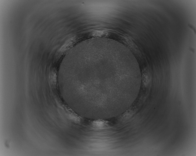 X0000101980375200807181130