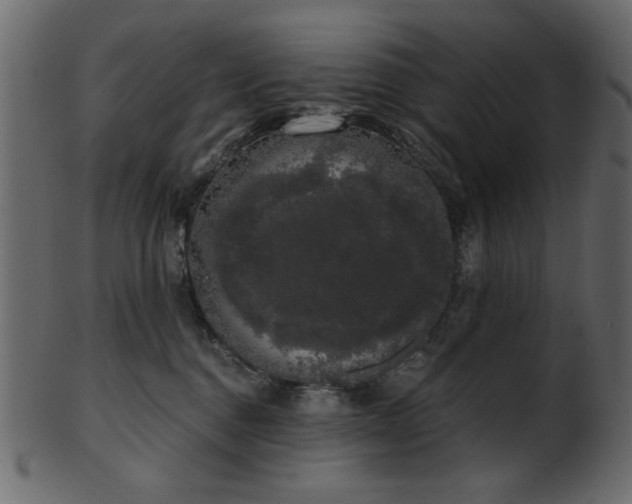 X0000101980376200807181130