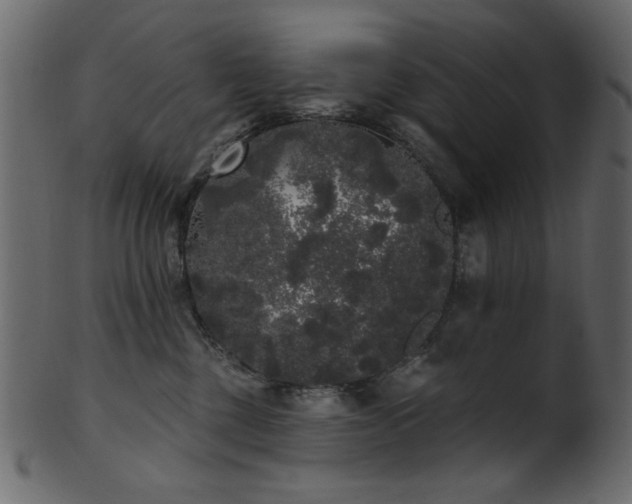 X0000101980377200807181130