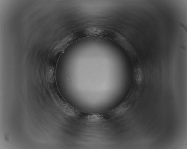 X0000101980378200807181130