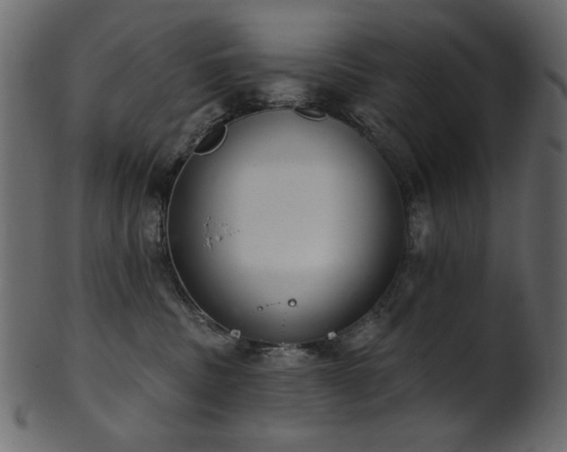 X0000101980379200807181130