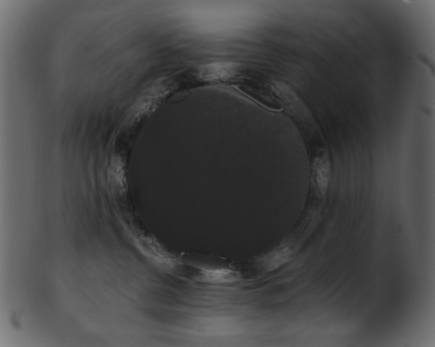 X0000101980380200807181130