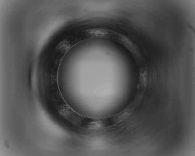 X0000101980381200807181130