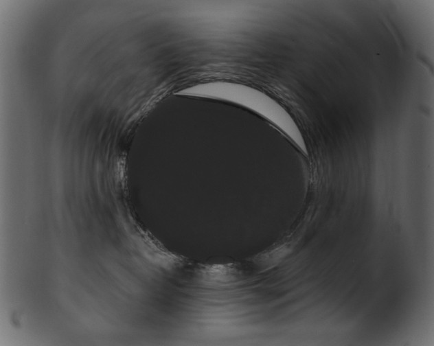 X0000101980382200807181130