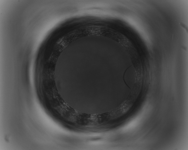 X0000101980383200807181130