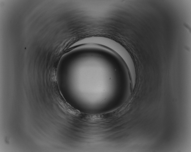 X0000101980384200807181130