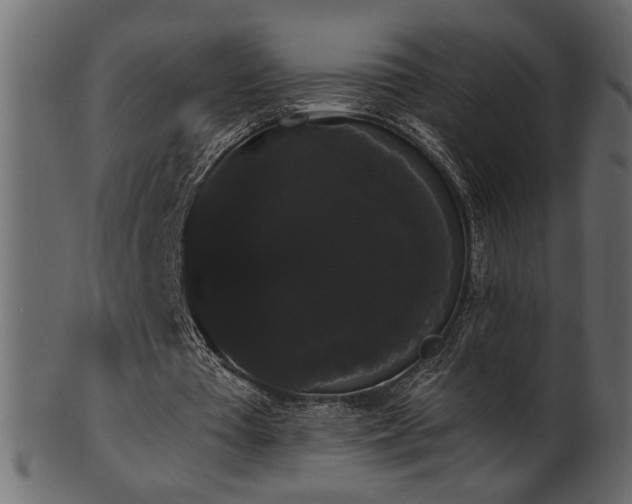 X0000101980385200807181130