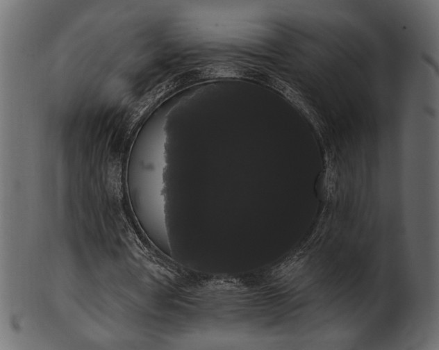 X0000101980386200807181130