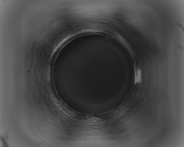 X0000101980387200807181130