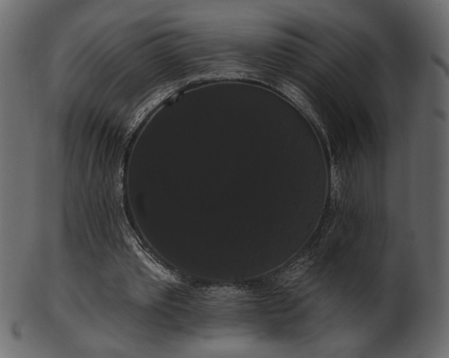 X0000101980389200807181130