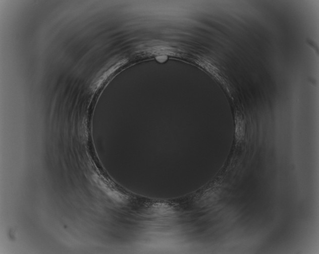 X0000101980390200807181130