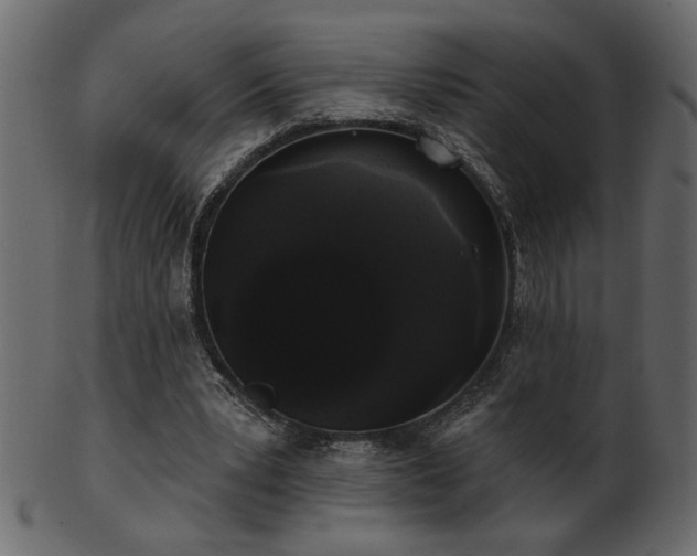 X0000101980391200807181130