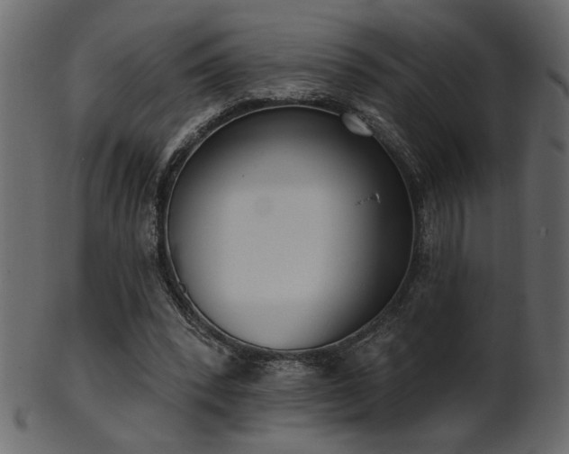 X0000101980392200807181130