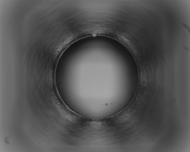 X0000101980394200807181129