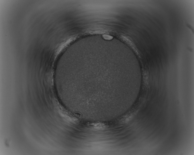 X0000101980395200807181129