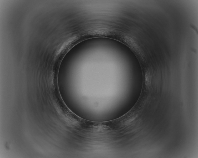 X0000101980396200807181129