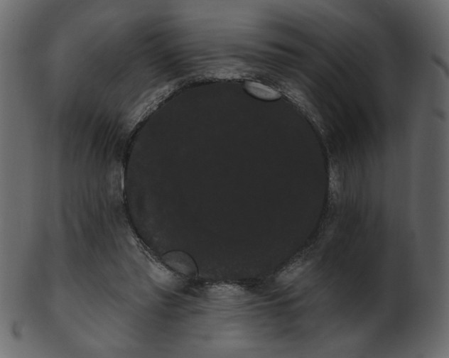 X0000101980397200807181129