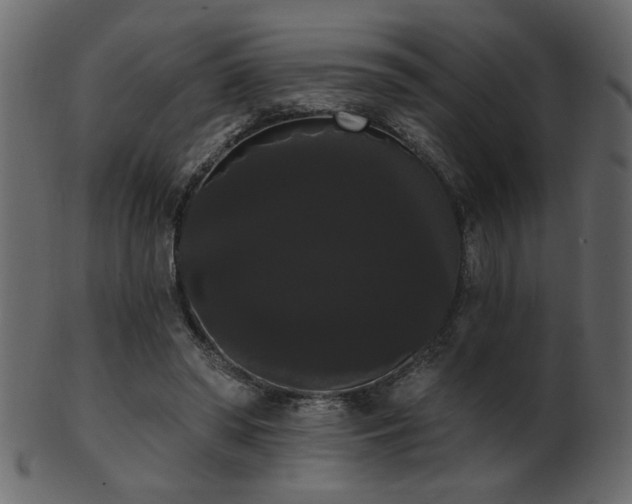 X0000101980398200807181129