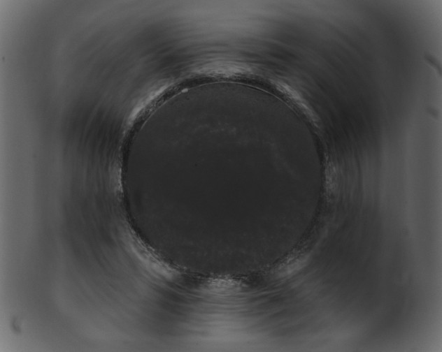 X0000101980399200807181129