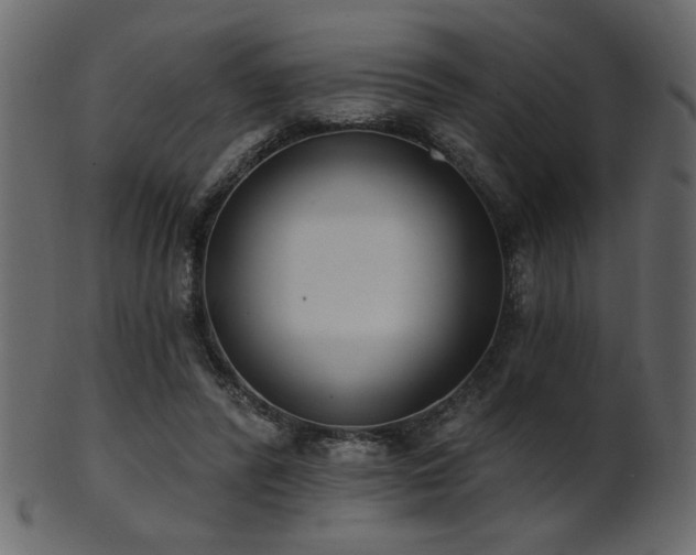 X0000101980400200807181129