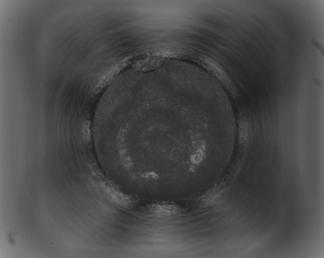 X0000101980401200807181129