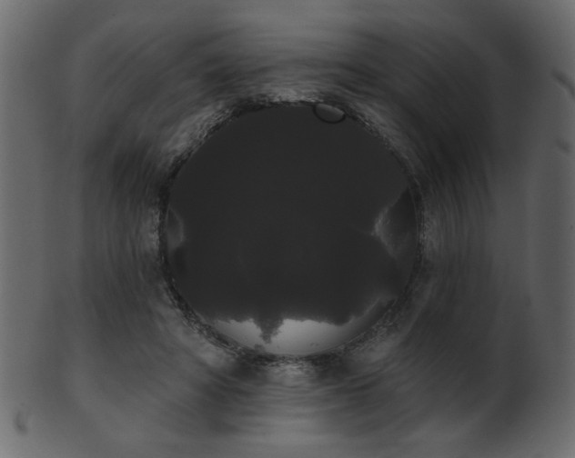 X0000101980402200807181129