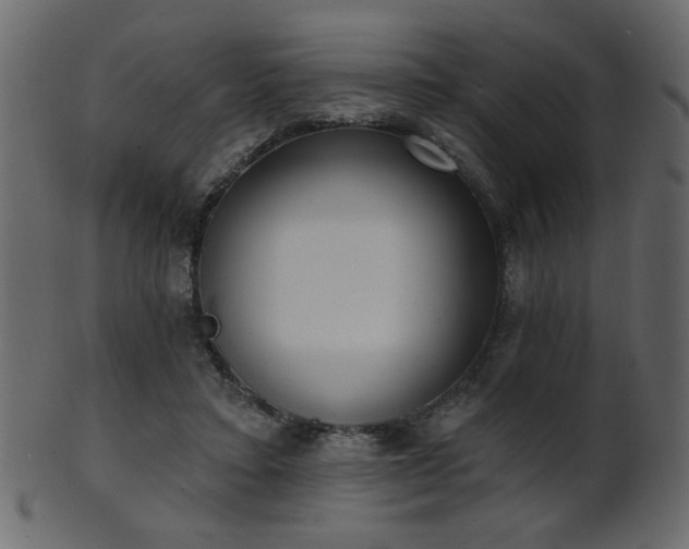 X0000101980403200807181129