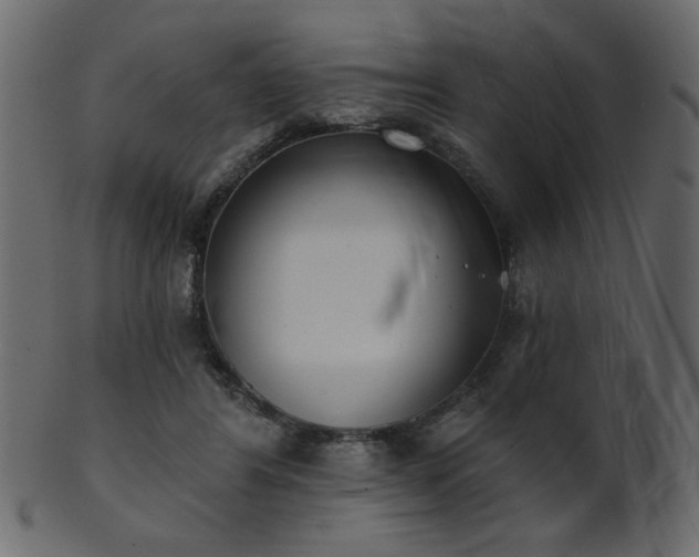 X0000101980404200807181129