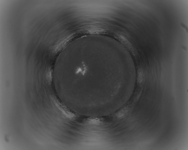 X0000101980405200807181129