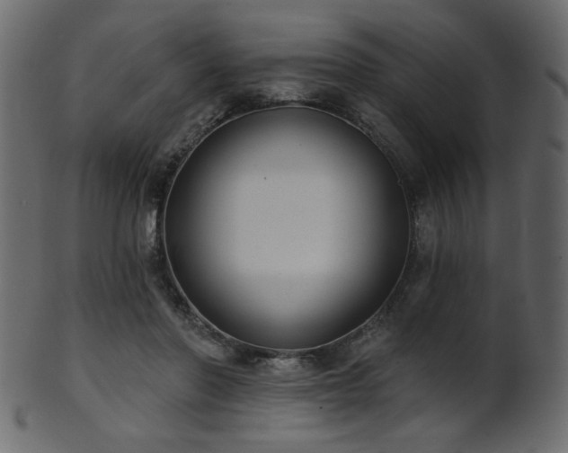 X0000101980406200807181129