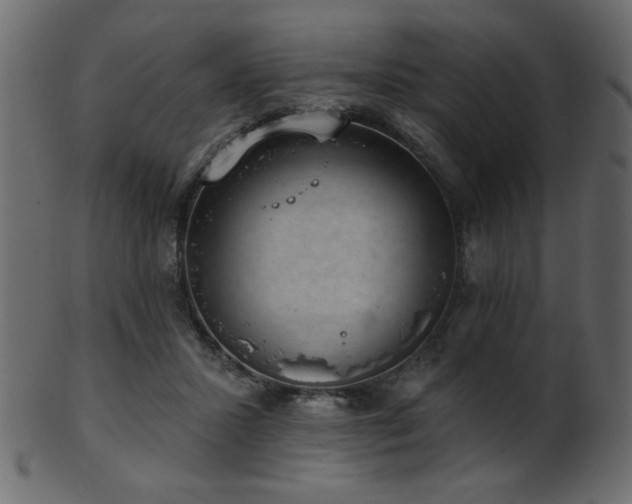 X0000101980407200807181129