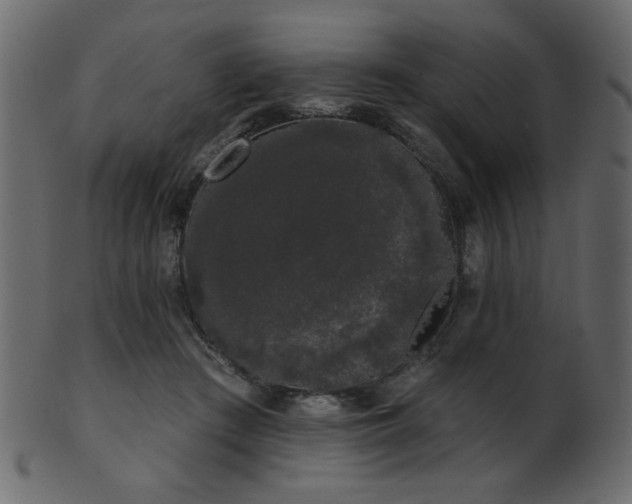 X0000101980409200807181129