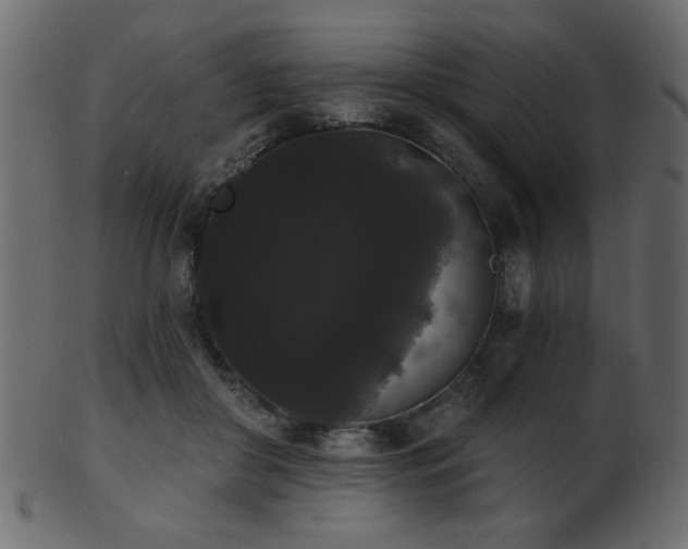 X0000101980410200807181129