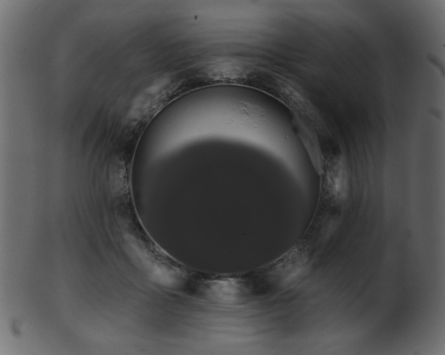 X0000101980411200807181129