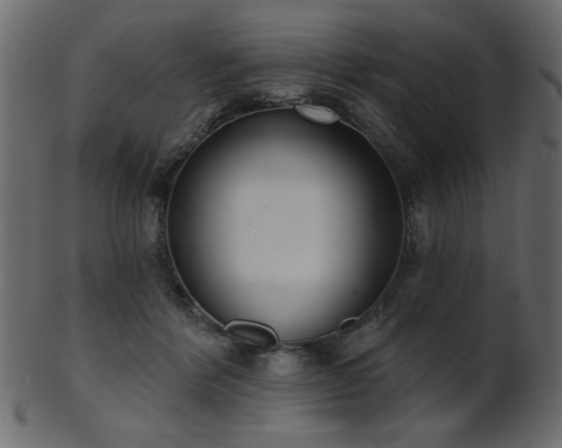 X0000101980412200807181129