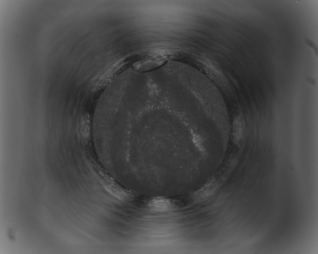 X0000101980413200807181129