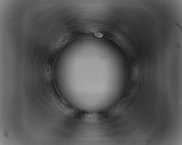 X0000101980414200807181129