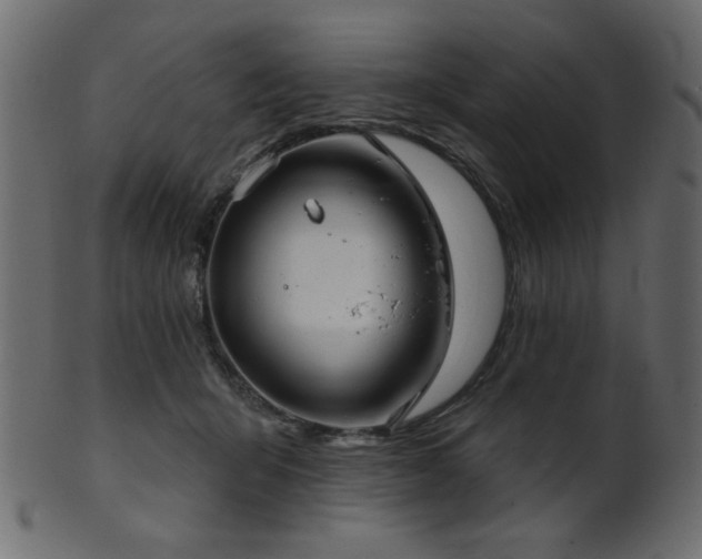 X0000101980415200807181129