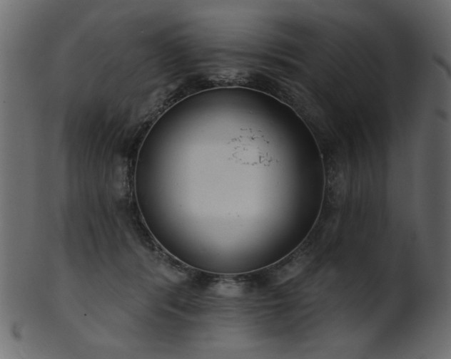 X0000101980416200807181129