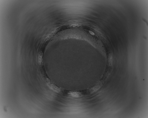 X0000101980417200807181129