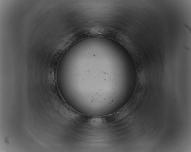 X0000101980418200807181129