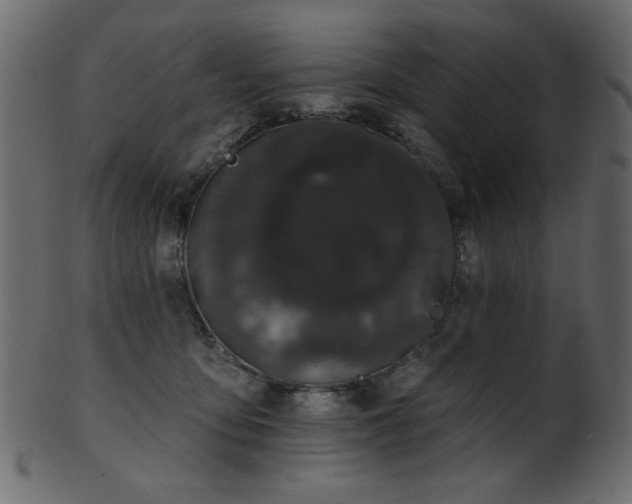 X0000101980419200807181129