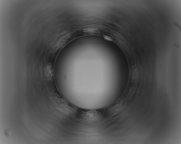 X0000101980420200807181129