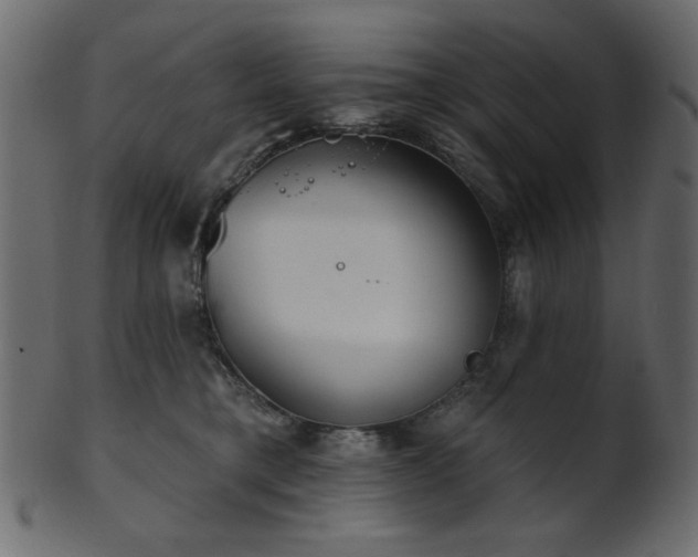 X0000101980421200807181129