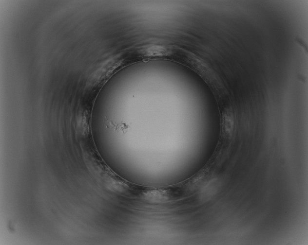 X0000101980422200807181129