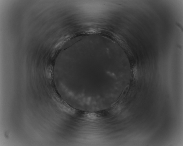 X0000101980423200807181129